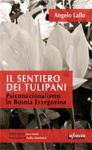 Vai all'articolo: Moventi ed effetti: andare oltre la facile concezione di guerra etnica e religiosa